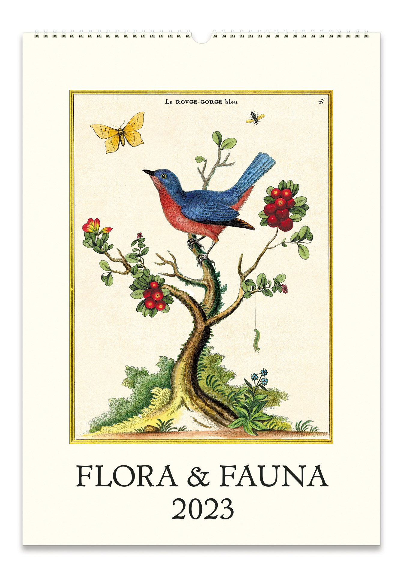 Flora & Fauna 2023 Wall Calendar - Shop Online at WorldOfMaps.com
